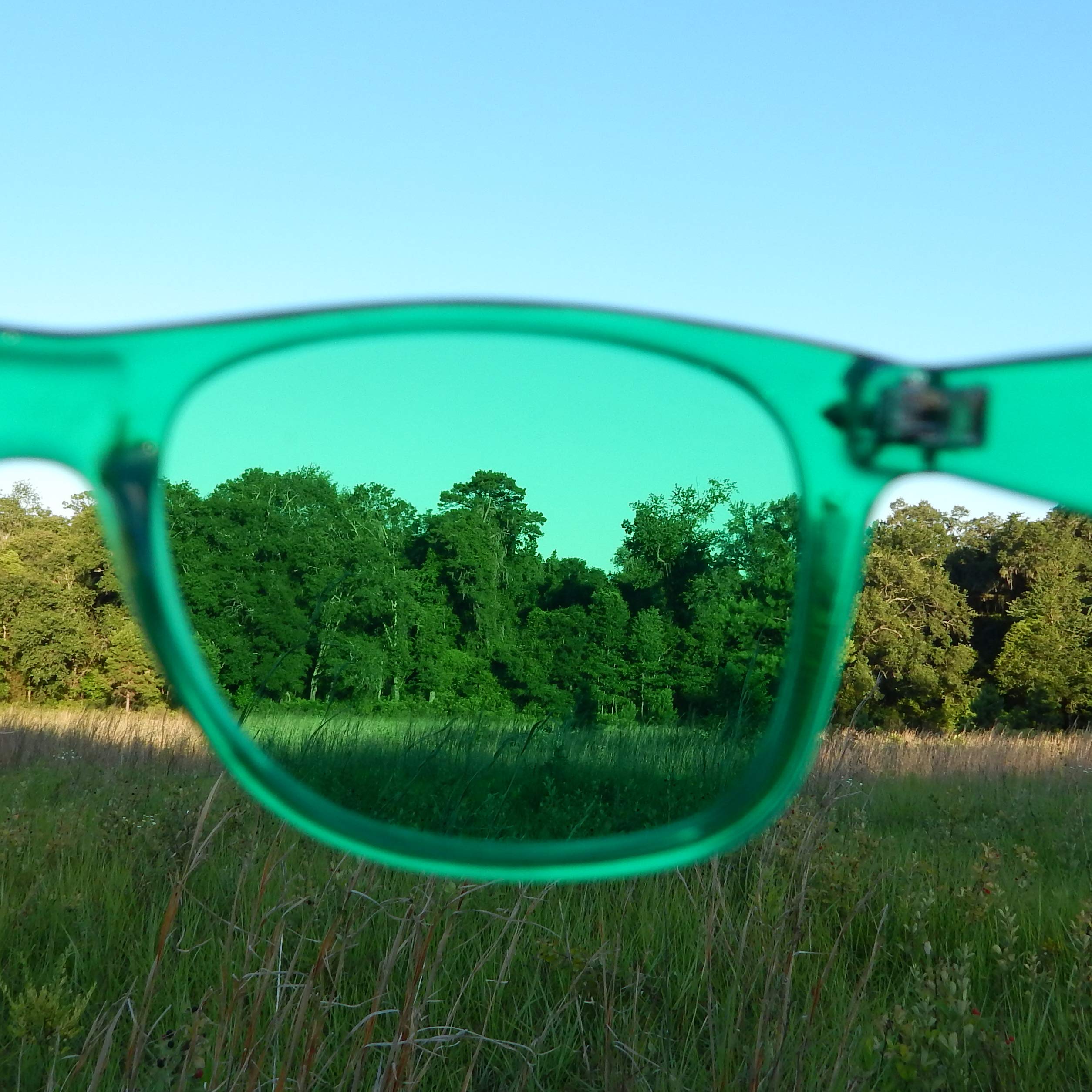 Lunettes PURPLE CANYON migraine vert, usage quotidien pour repos oculaire