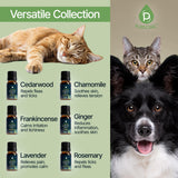 Pursonic huile bois de cèdre pour animaux, parfum apaisant.