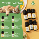 Pursonic huile menthe poivrée en bouteille, rafraîchissement subtil