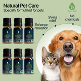 Pursonic bouteilles d'huiles pour animaux, facilité d'utilisation et apaisement.