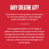 Purus Labs Creatine ATP – soutien à l’hydratation musculaire pendant l’effort