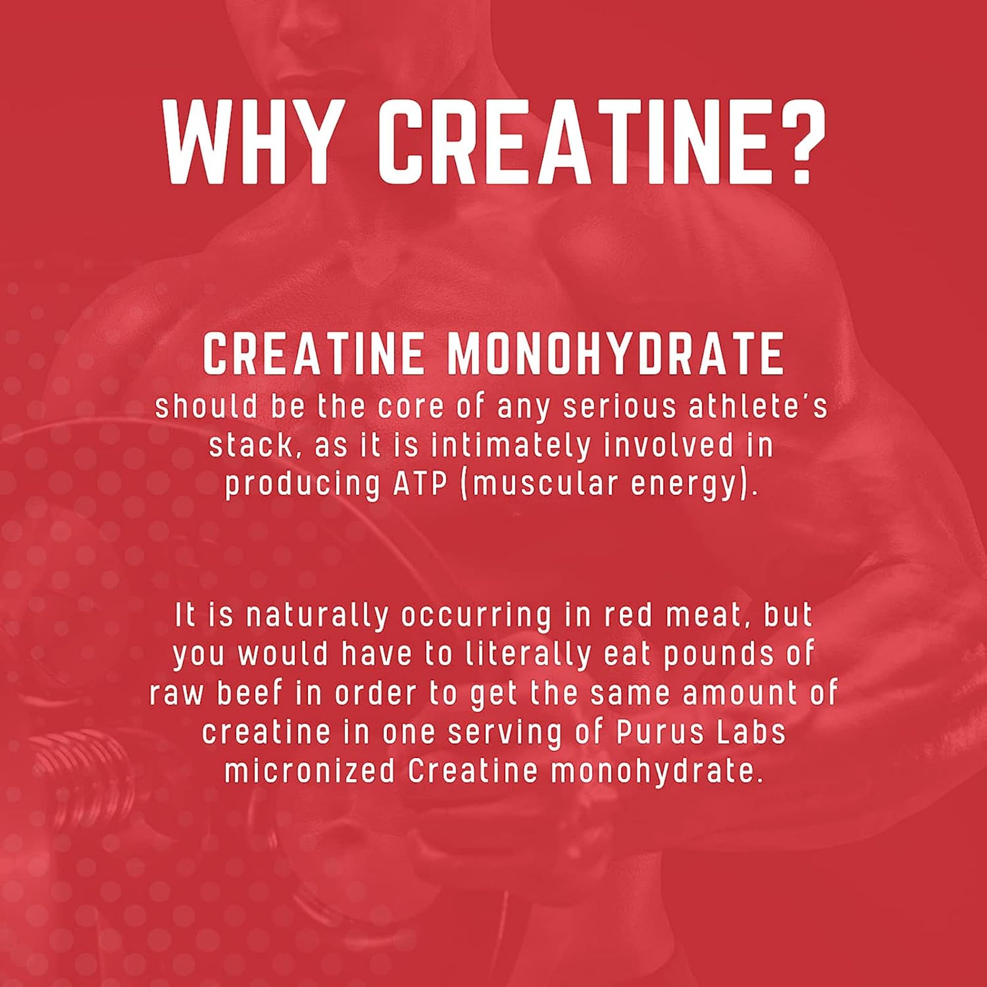 Purus Labs Foundation Series Creatine Poudre dissolution – se dissout rapidement dans la boisson.