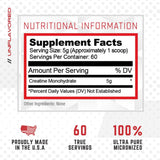 Purus Labs Foundation Series Creatine Poudre pre-entraînement – énergie potentielle pour exercices intenses.