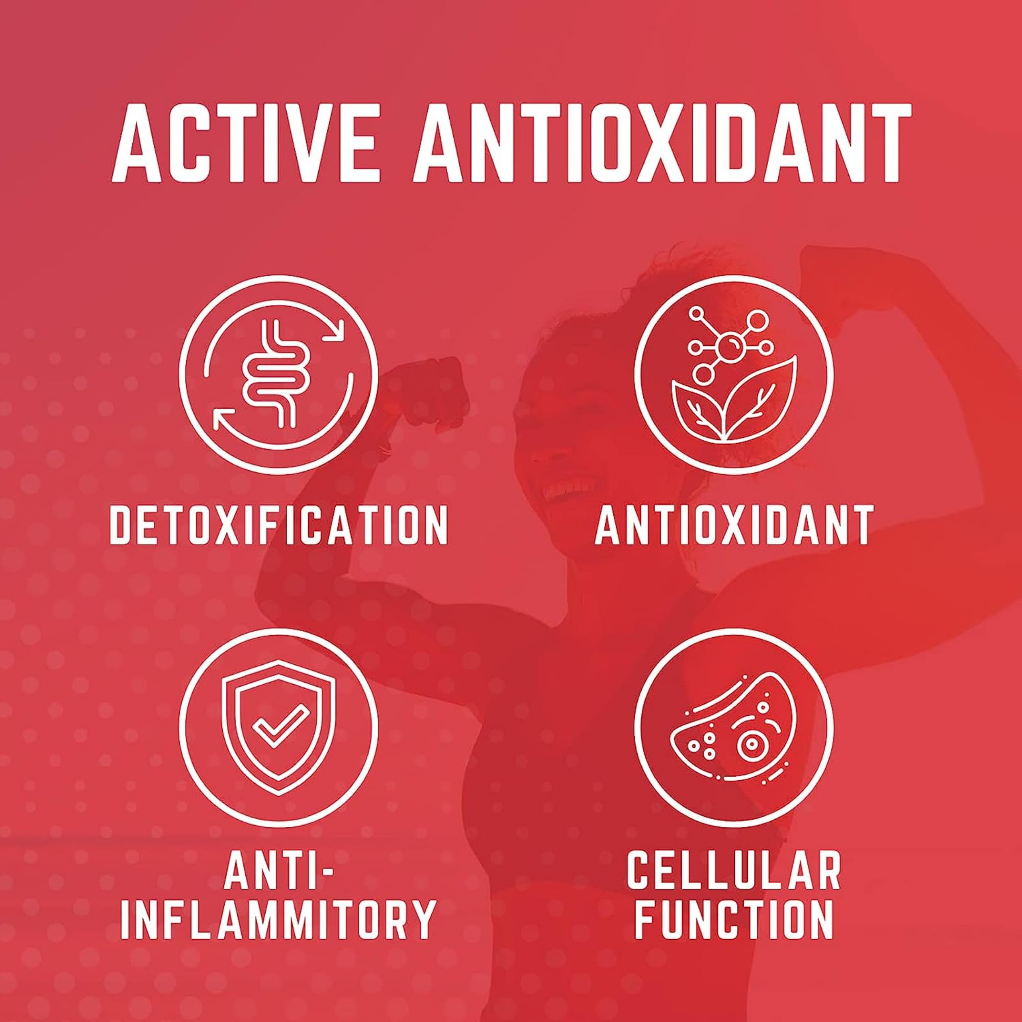 Ingrédients naturels Purus Labs Organ Shield – extrait de chardon-marin et CoQ10.