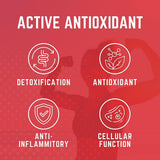 Ingrédients naturels Purus Labs Organ Shield – extrait de chardon-marin et CoQ10.