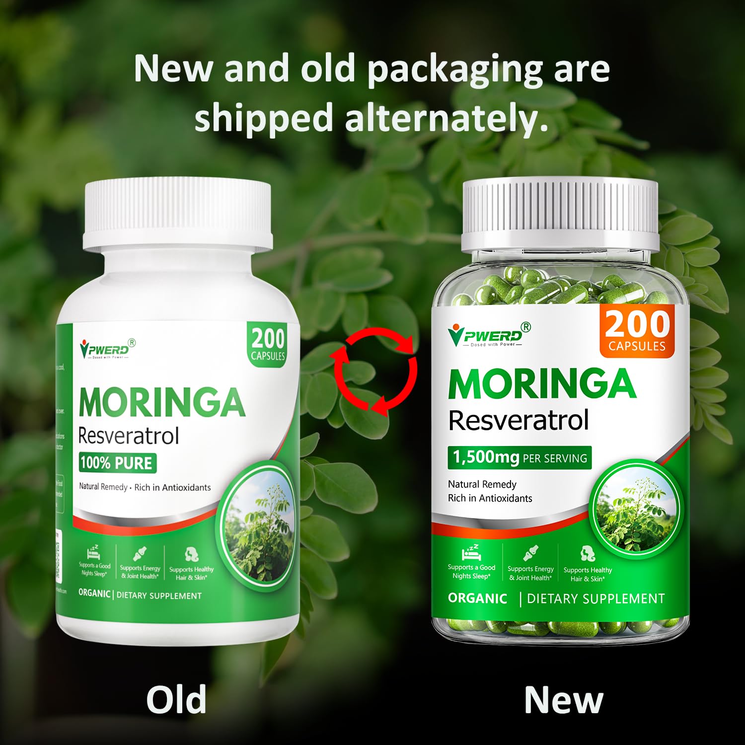 Gélules PWERD Moringa – emballage végétal, format pratique pour la routine quotidienne.