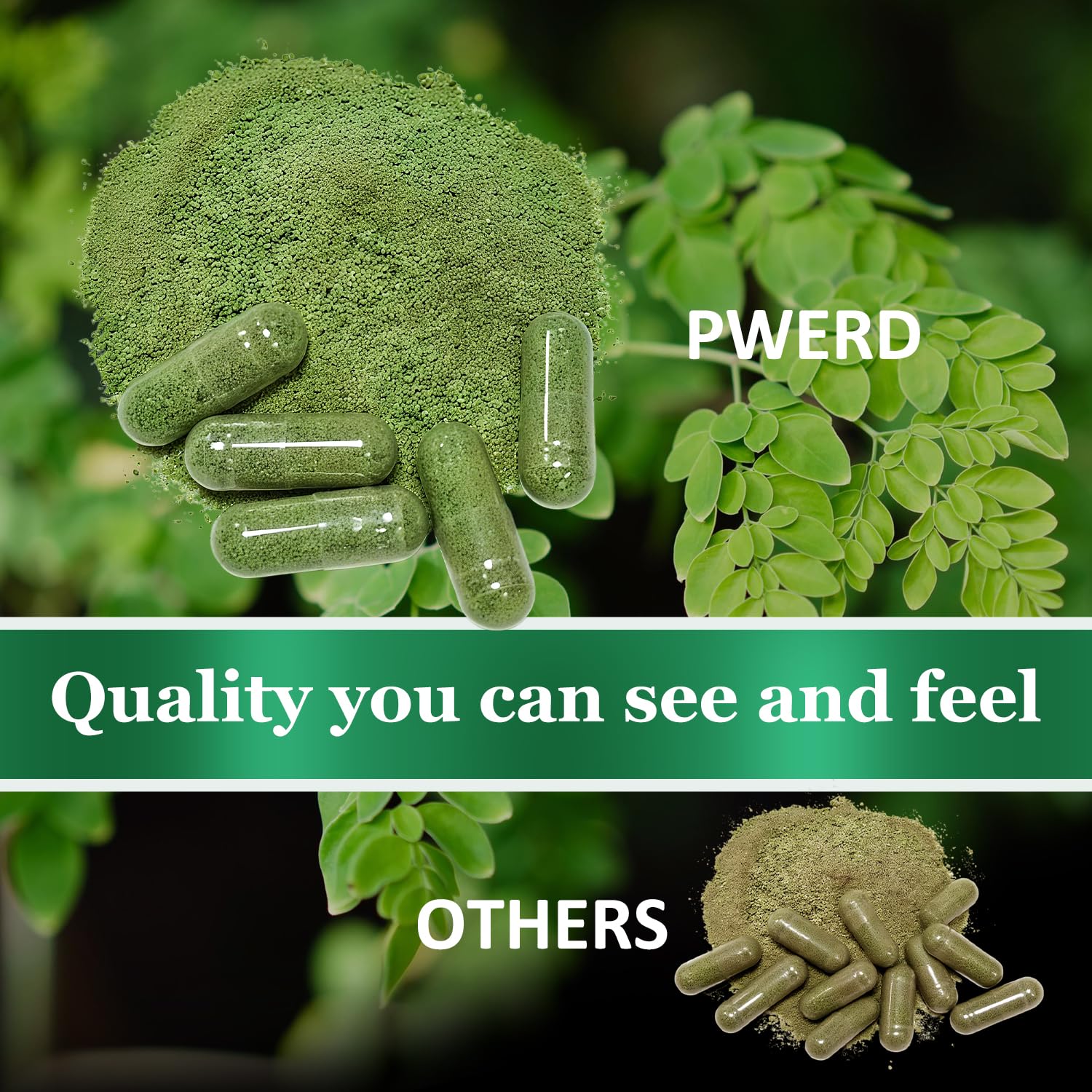 Gélules PWERD Moringa – sans allergènes, composition vegan et propre.