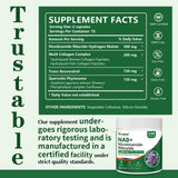 Capsules PWERD NAD+ – gros plan sur les capsules et énergie potentielle.