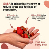 Gommes sans gluten PYM Berry Mood pour une option diététique adaptée.