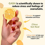 Utilisation quotidienne des gommes PYM Health Citrus Mood pour un soutien discret pendant les journées chargées.