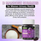 Formule végan et sans sucre de Q'ankyaq D-mannose, complément sain.