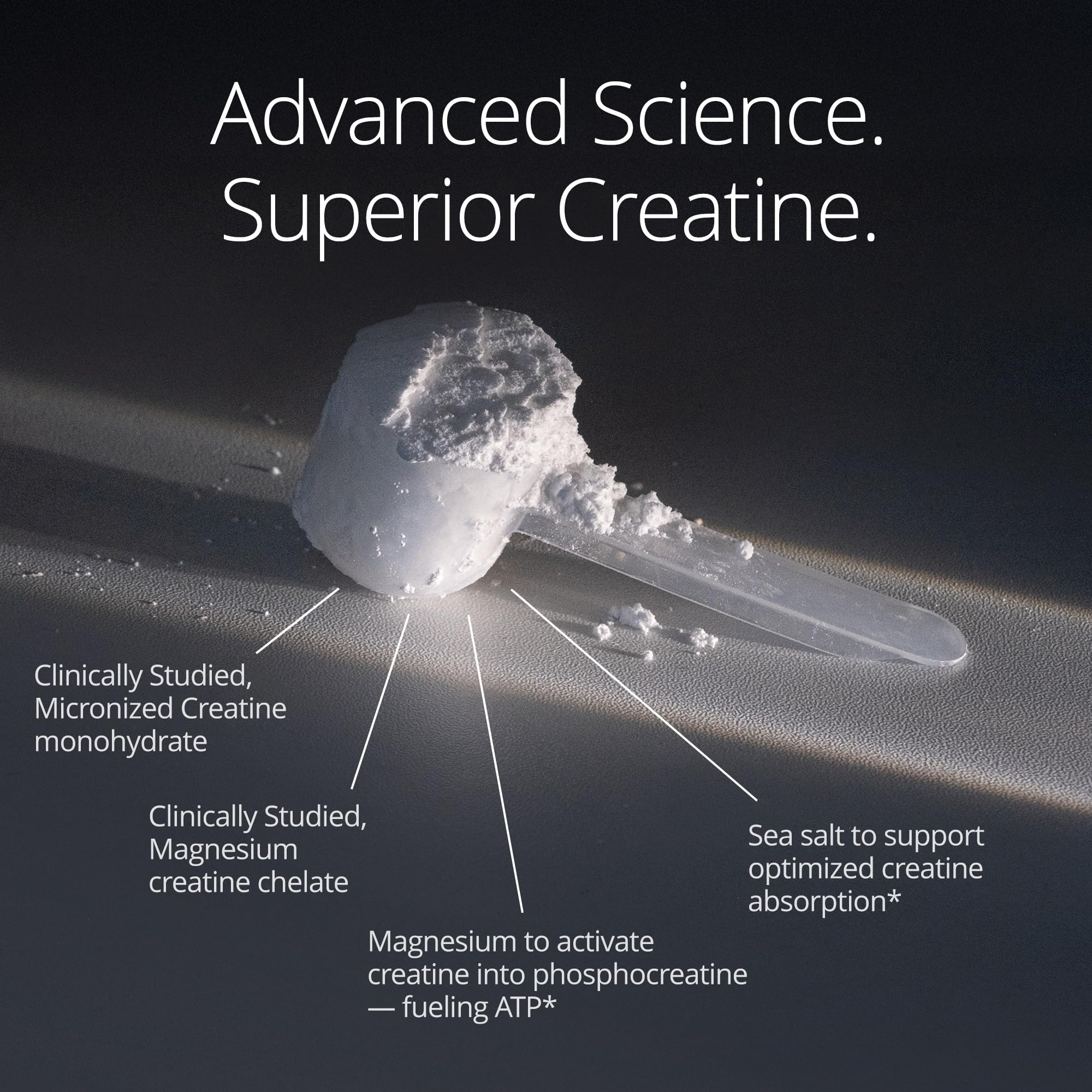 Qualia Creatine – séance d'entraînement illustrant énergie et endurance.