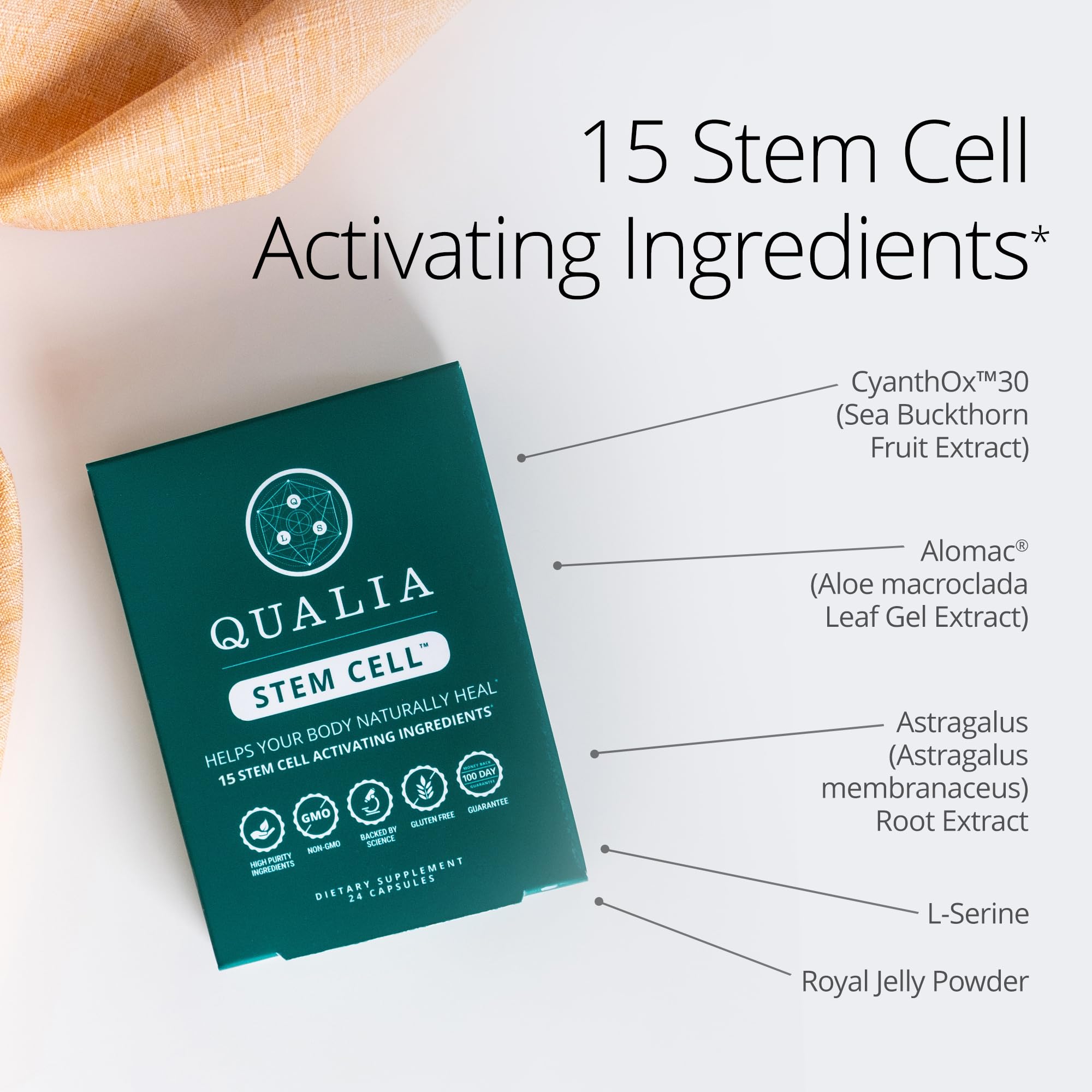 Qualia Stem Cell – tableau nutritionnel, aperçu clair des ingrédients clés.