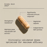 Capsules Kinoko Gold AHCC prêtes à être consommées dans une routine quotidienne.