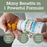 MigShield Quantum – formule synergique magnésium-riboflavine-CoQ10.