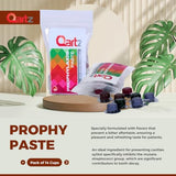 Qartz menthe polissage dentaire, brosse quotidienne recommandée pour un soin efficace.