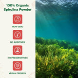 Cuillère-doseur avec Spiruline Bio Quay Naturals, pratique et précise.