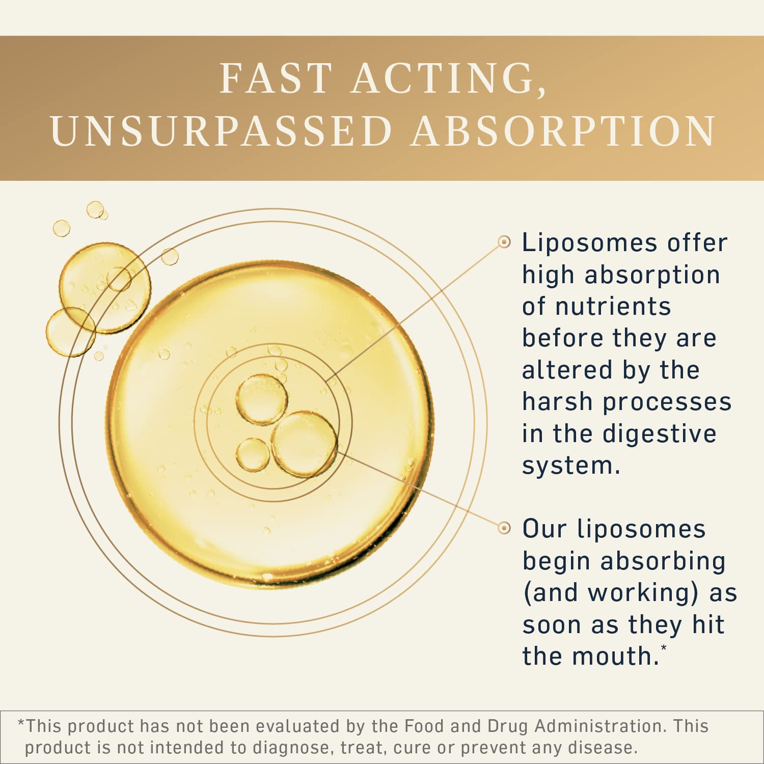 Quicksilver Lipocalm — formulation végan sans soja et sans gluten