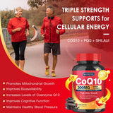 Quinovit PQQ et Shilajit, ingrédients visibles, soutien potentiel à l'énergie cellulaire.