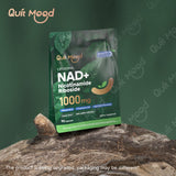 Quit mood Nicotinamide Riboside Complex – Activité sportive : énergie et récupération potentielles.