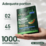 Quit mood Nicotinamide Riboside Complex – capsules : énergie et soutien métabolique quotidien.