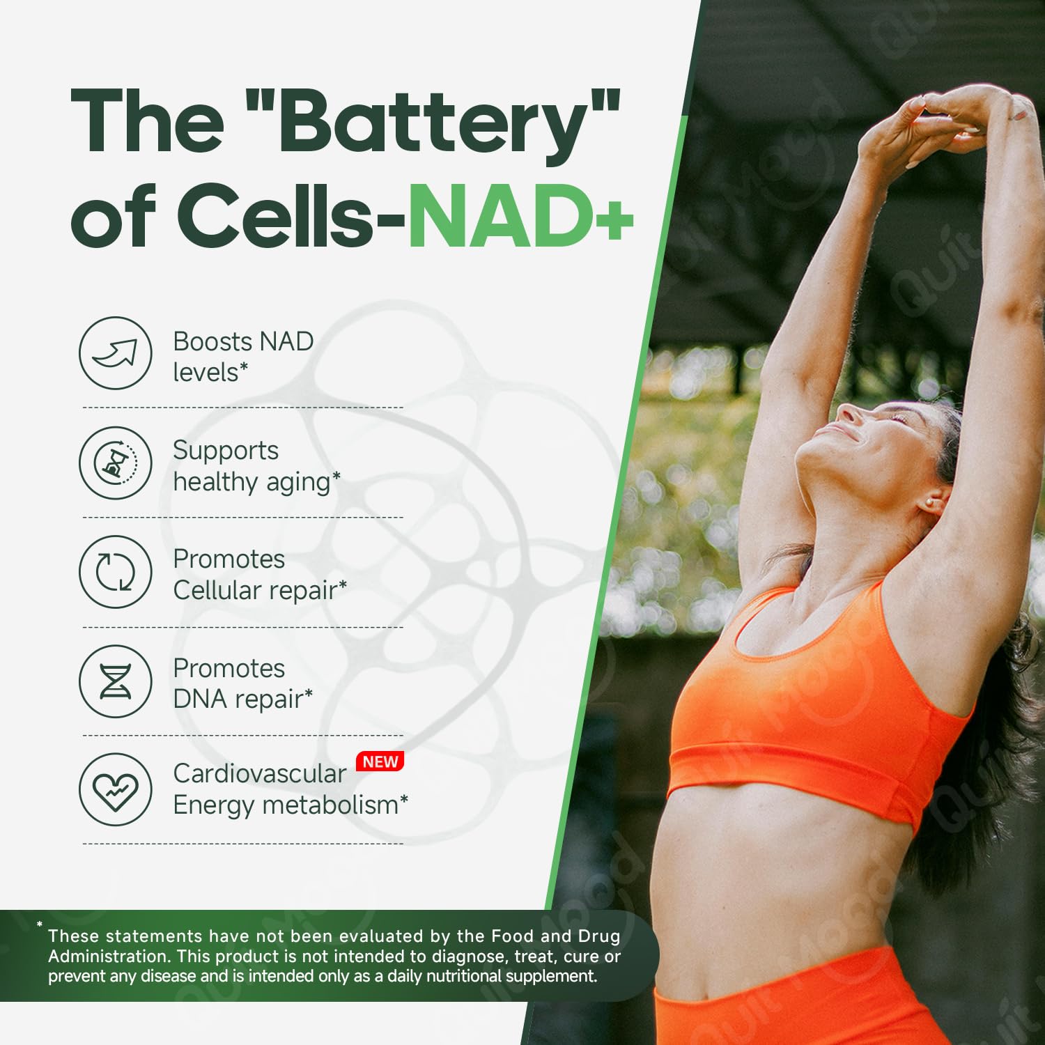 Quit mood Nicotinamide Riboside Complex – CoQ10 : soutien cœur et cerveau.