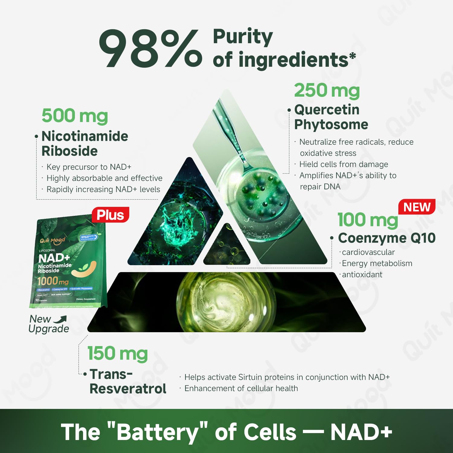 Quit mood Nicotinamide Riboside Complex – Étiquette lisible facilitant le choix éclairé.