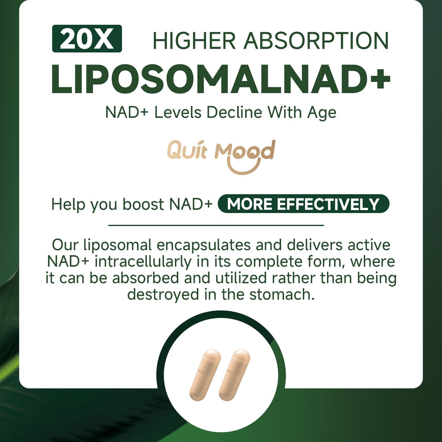 Quit mood Nicotinamide Riboside Complex – Présentation quotidienne pour routine bien-être.