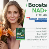 Quit mood Nicotinamide Riboside Complex – Résveratrol et quercétine : antioxydants pour la protection cellulaire.