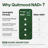 Quit mood Nicotinamide Riboside Complex – Tableau des ingrédients : composition transparente.
