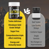Gomme Quixiora Shilajit démontrant texture naturelle et facilité de mâchage.