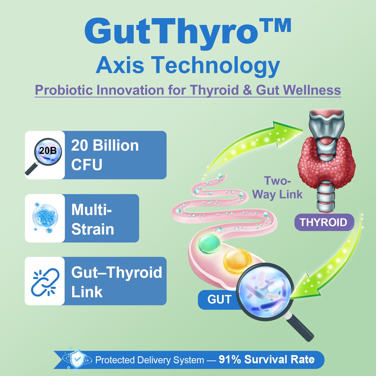Gélules GutThyro probiotiques à 20 milliards CFU pour l’équilibre intestinal.