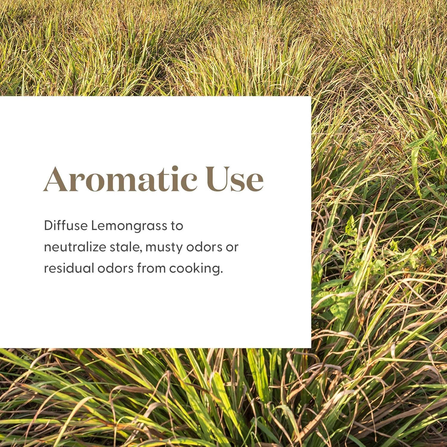 Purification des odeurs domestiques avec citronnelle Young Living pour atmosphère plus agréable.