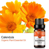 Rainbow Abby Calendula – flacon et gouttes, parfums faits maison.