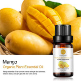 RAINBOW ABBY huile mangue — utilisation pour bougies maison et parfums d'ambiance