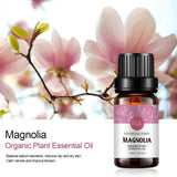 Rainbow Abby Magnolia — emballage élégant, cadeau raffiné et pratique.