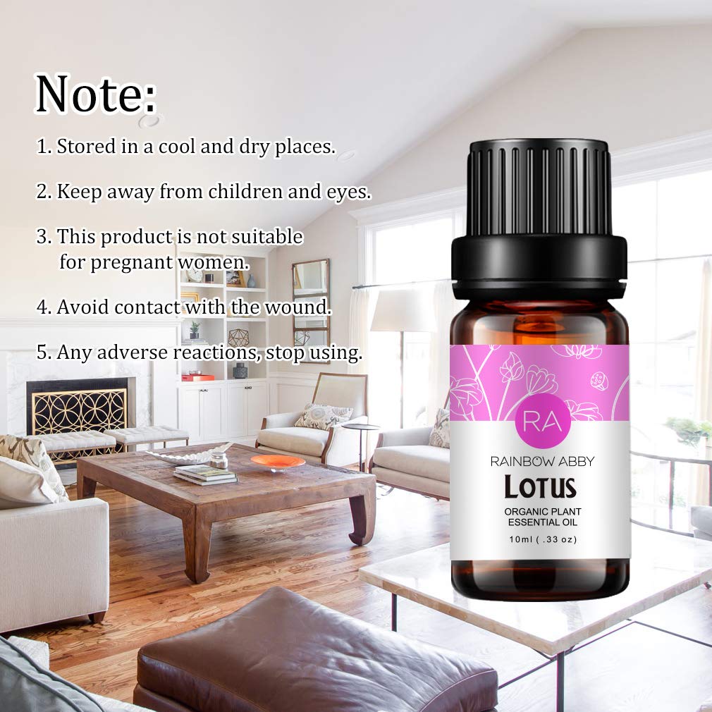 Rainbow Abby Magnolia — parfum sophistiqué pour une ambiance bien-être à la maison.