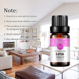 Rainbow Abby Magnolia — parfum sophistiqué pour une ambiance bien-être à la maison.