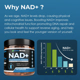 Rainbow Nutrients NAD+ – ingrédients résveratrol et quercétine favorisant absorption