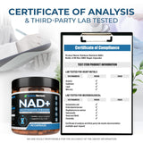 Rainbow Nutrients NAD+ – emballage clair et gélules faciles à avaler