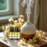 Rainbow Abby chèvrefeuille – diffusion douce pour ambiance florale.