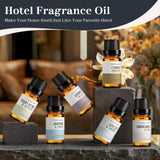 RAINBOW ABBY Citron et Thym, parfum frais pour salons et chambres accueillants.