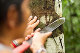 Raw Garden Sang de Dragon extrait sap pur pour application douce.