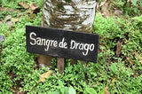 Raw Garden Sang de Dragon routine bien-être à domicile.