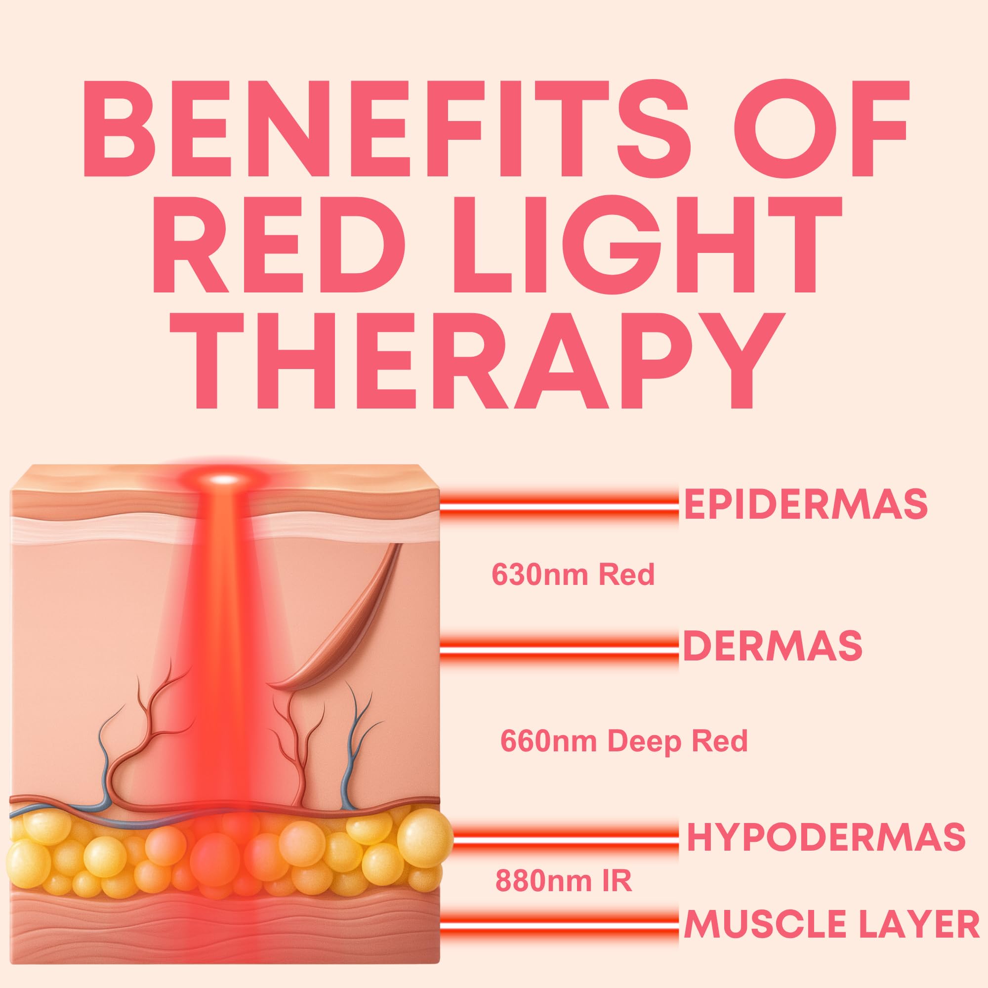 Rayvia, lampe rouge lèvres, volume naturel et contours plus définis.