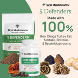 Real Mushrooms 5 Defenders poudre queue-de-dinde: utilisation polyvalente en repas