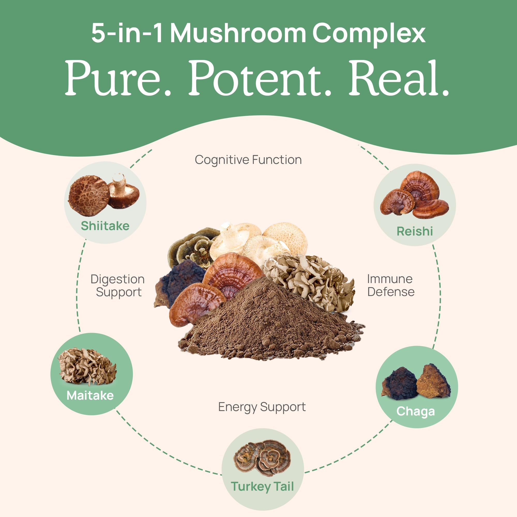 Real Mushrooms 5 Defenders poudre Shiitake: arôme riche et usage simple