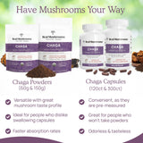 Étiquette Real Mushrooms Chaga, fabriqué aux États-Unis et ingrédients américains.