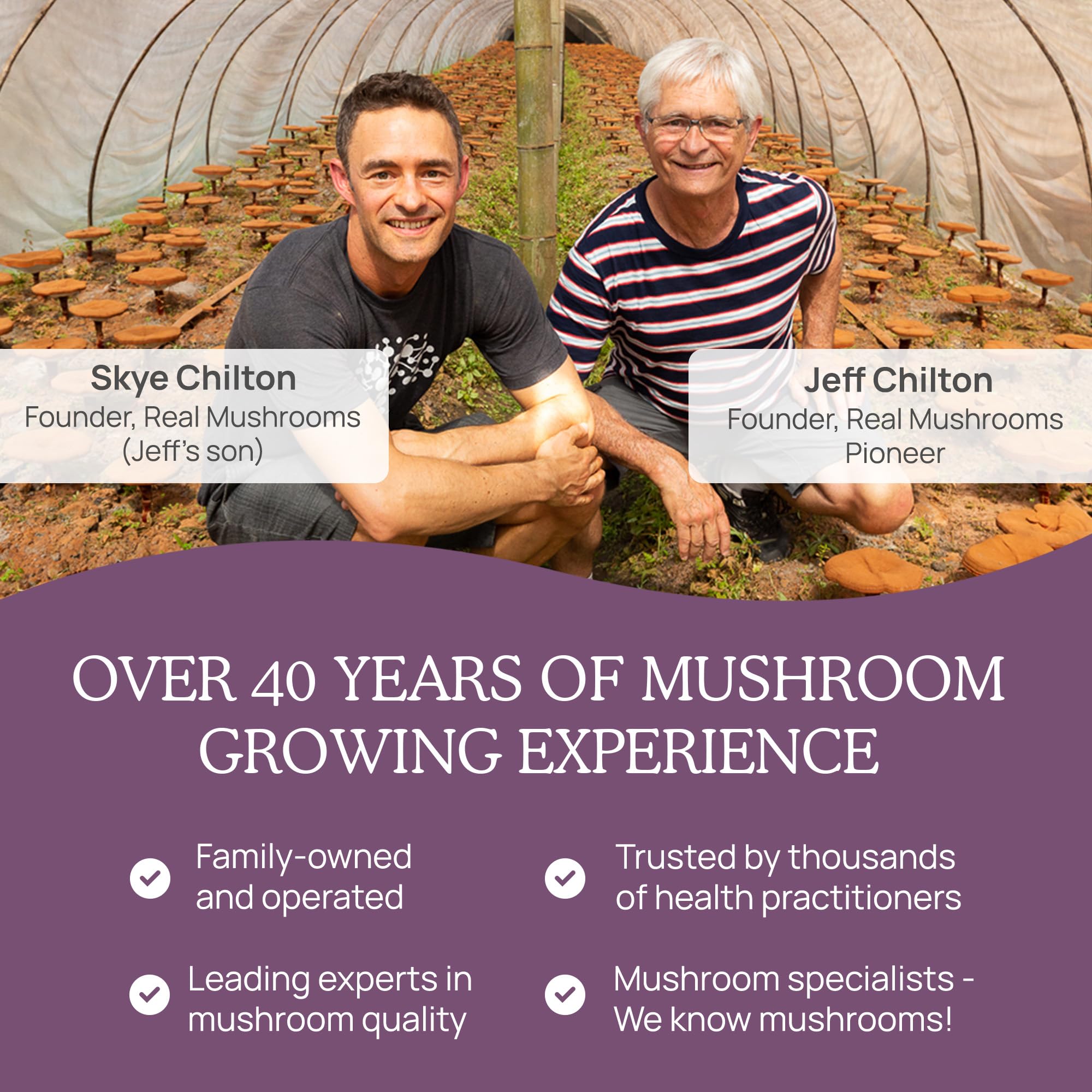 Capsules Real Mushrooms Chaga sur fond naturel, packaging simple et écologique.