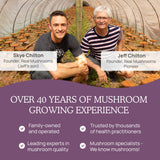 Capsules Real Mushrooms Chaga sur fond naturel, packaging simple et écologique.
